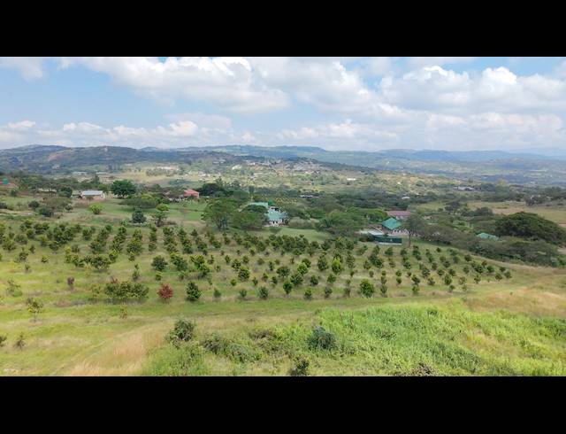 11HA FARM FOR SALE IN NELSPRUIT RURAL